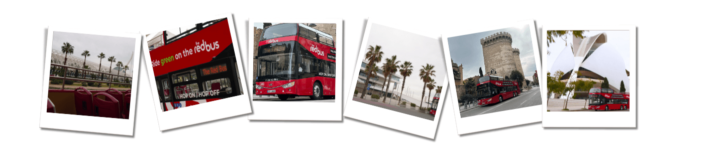 a display in a store